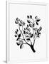 Gramercy White