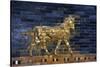 Ishtar Gate. The Eight Gate of the Inner Wall of Babylon. Built in 575 BC by Order to…-null-Stretched Canvas