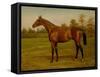 Isinglass, Triple Crown, 1893-Harrington Bird-Framed Stretched Canvas