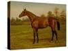 Isinglass, Triple Crown, 1893-Harrington Bird-Stretched Canvas