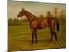 Isinglass, Triple Crown, 1893-Harrington Bird-Mounted Giclee Print