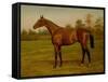 Isinglass, Triple Crown, 1893-Harrington Bird-Framed Stretched Canvas