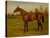 Isinglass, Triple Crown, 1893-Harrington Bird-Stretched Canvas