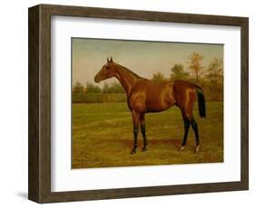 Isinglass, Triple Crown, 1893-Harrington Bird-Framed Giclee Print