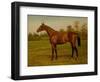 Isinglass, Triple Crown, 1893-Harrington Bird-Framed Giclee Print