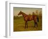 Isinglass, Triple Crown, 1893-Harrington Bird-Framed Giclee Print