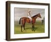 'Isinglass', Winner of the 1893 Derby, 1893 (Detail)-Emil Adam-Framed Giclee Print