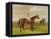 Isinglass', Winner of the 1893 Derby, 1893-Emil Adam-Framed Stretched Canvas