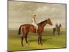 Isinglass', Winner of the 1893 Derby, 1893-Emil Adam-Mounted Giclee Print