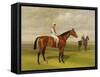 Isinglass', Winner of the 1893 Derby, 1893-Emil Adam-Framed Stretched Canvas