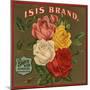 Isis Brand - Riverside, California - Citrus Crate Label-Lantern Press-Mounted Art Print
