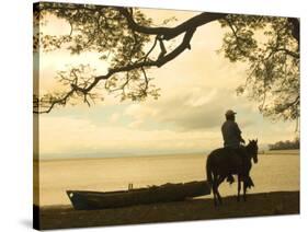 Isla De Ometepe, Lake Nicaragua, Sunset, Nicaragua-John Coletti-Stretched Canvas