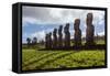 Isla De Pascua. Rapa Nui. Easter Island-Vladimir Krupenkin-Framed Stretched Canvas