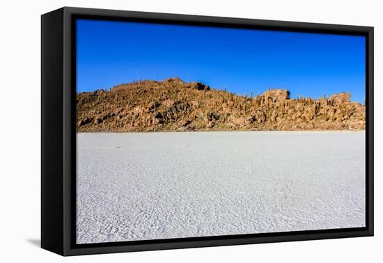 Isla De Pescadores,Uyuni,Bolivia-nok3709001-Framed Stretched Canvas