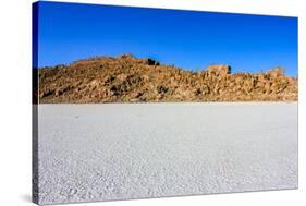 Isla De Pescadores,Uyuni,Bolivia-nok3709001-Stretched Canvas