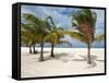 Isla Pasion (Passion Island) Off Isla De Cozumel, Cozumel, Mexico, North America-Michael DeFreitas-Framed Stretched Canvas