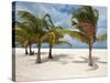 Isla Pasion (Passion Island) Off Isla De Cozumel, Cozumel, Mexico, North America-Michael DeFreitas-Stretched Canvas