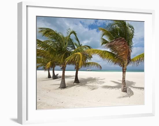 Isla Pasion (Passion Island) Off Isla De Cozumel, Cozumel, Mexico, North America-Michael DeFreitas-Framed Photographic Print