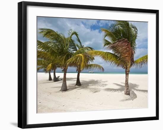 Isla Pasion (Passion Island) Off Isla De Cozumel, Cozumel, Mexico, North America-Michael DeFreitas-Framed Photographic Print