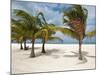 Isla Pasion (Passion Island) Off Isla De Cozumel, Cozumel, Mexico, North America-Michael DeFreitas-Mounted Photographic Print