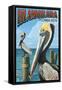 Islamorada, Florida Keys - Pelicans-Lantern Press-Framed Stretched Canvas