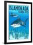 Islamorada, Florida Keys - Tiger Shark-Lantern Press-Framed Art Print