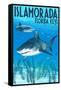 Islamorada, Florida Keys - Tiger Shark-Lantern Press-Framed Stretched Canvas