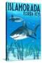 Islamorada, Florida Keys - Tiger Shark-Lantern Press-Stretched Canvas