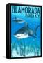 Islamorada, Florida Keys - Tiger Shark-Lantern Press-Framed Stretched Canvas