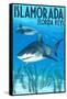 Islamorada, Florida Keys - Tiger Shark-Lantern Press-Framed Stretched Canvas