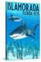 Islamorada, Florida Keys - Tiger Shark-Lantern Press-Stretched Canvas