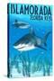 Islamorada, Florida Keys - Tiger Shark-Lantern Press-Stretched Canvas