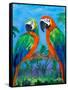 Island Birds I-Julie DeRice-Framed Stretched Canvas