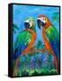 Island Birds I-Julie DeRice-Framed Stretched Canvas