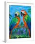 Island Birds I-Julie DeRice-Framed Art Print