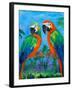 Island Birds I-Julie DeRice-Framed Art Print