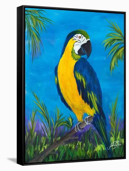 Island Birds II-Julie DeRice-Framed Stretched Canvas