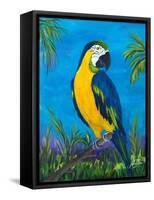 Island Birds II-Julie DeRice-Framed Stretched Canvas