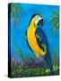 Island Birds II-Julie DeRice-Stretched Canvas