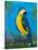 Island Birds II-Julie DeRice-Stretched Canvas