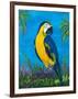 Island Birds II-Julie DeRice-Framed Art Print