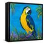 Island Birds Square II-Julie DeRice-Framed Stretched Canvas