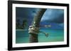 Island Breeze-Chris Simpson-Framed Giclee Print