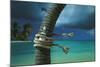 Island Breeze-Chris Simpson-Mounted Giclee Print