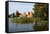 Island Castle of Trakai Near Vilnius, Lithuania, Europe-Bruno Morandi-Framed Stretched Canvas