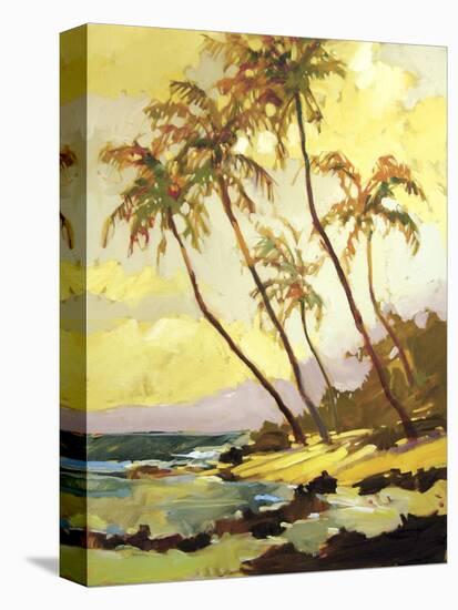 Island Dream-Darrell Hill-Stretched Canvas