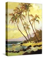 Island Dream-Darrell Hill-Stretched Canvas