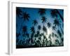 Island Evening II-Mike Toy-Framed Giclee Print