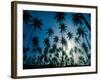 Island Evening II-Mike Toy-Framed Giclee Print