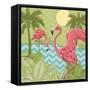 Island Flamingo II-Paul Brent-Framed Stretched Canvas